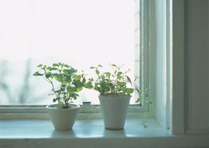 東京にある中古ブランド家具買取店