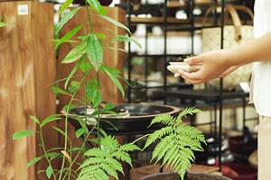 熊本の一人一人に寄り添う人工芝専門店