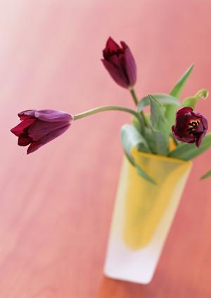 丸洗いで清潔に保てる布団クリーニング