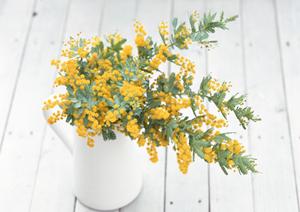 大阪の快適な暮らしを支えるタカラスタンダード大阪HDCショールームの詳細案内